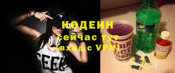дмт Кодинск