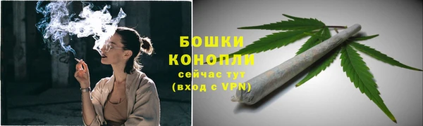 ешки Козельск