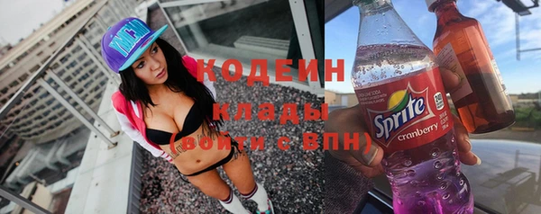 дмт Кодинск