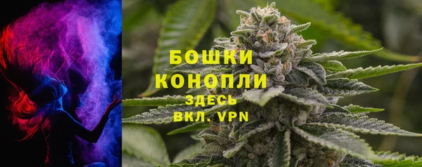 дмт Кодинск