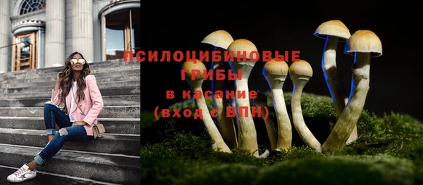 ешки Козельск