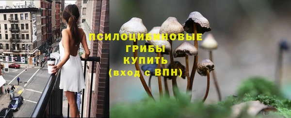 дмт Кодинск