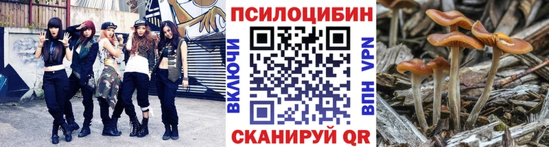 Псилоцибиновые грибы Magic Shrooms  Купить  Вышний Волочёк 